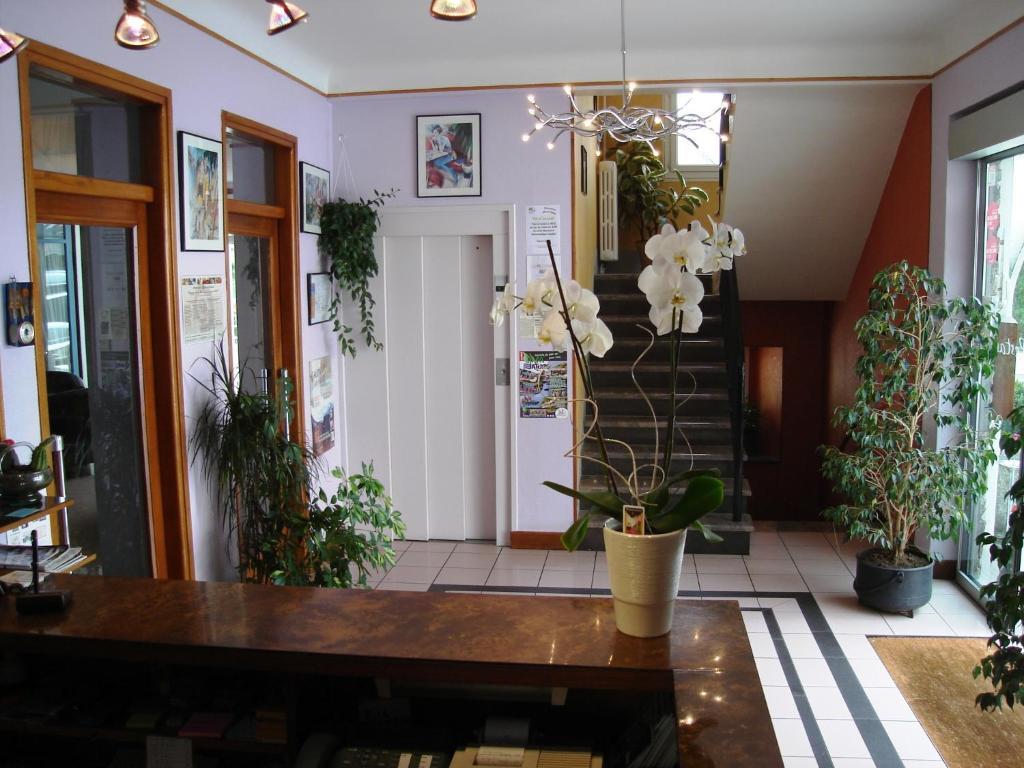 Hotel Beausejour Chaudes-Aigues Bagian luar foto